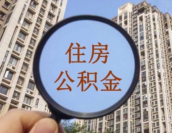 朝阳退休后查不到公积金明细了吗（退休后公积金查询不到原因）